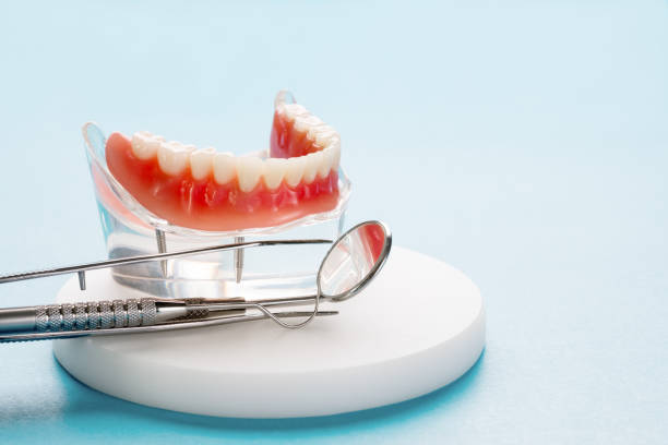 Bowling Green, OH Holistic Dental Care Services Company